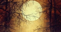 Largest Supermoon since 1948: When to See It and How to Capture the Best Photo