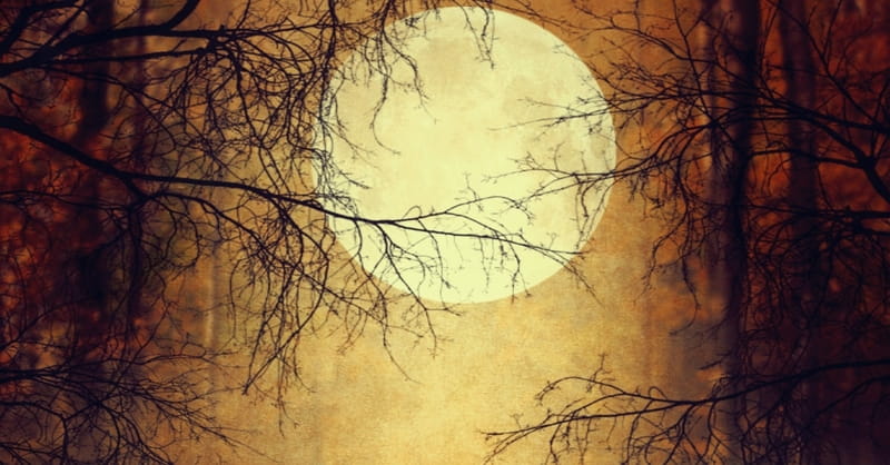 ‘Wolf Moon’ and Brightness of Venus Cause Apocalyptic Predictions
