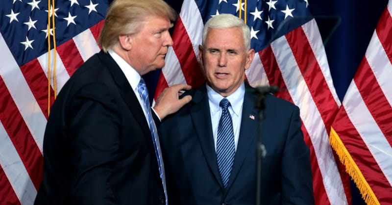 5 People Donald Trump Should be Thankful for This Week