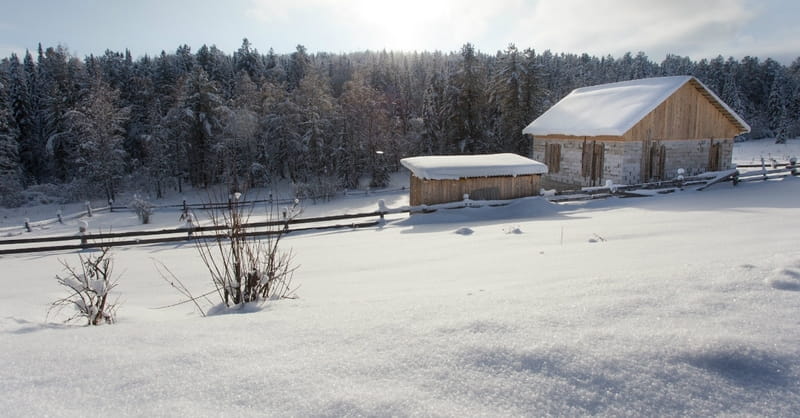 Siberian Man Builds Orthodox Church out of Snow