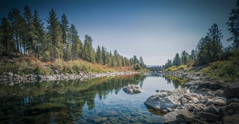 Did You Know a River Has the Right to Sue You?