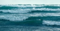 Drowning Family Rescued by Beachgoers Who Make 80-Person Human Chain