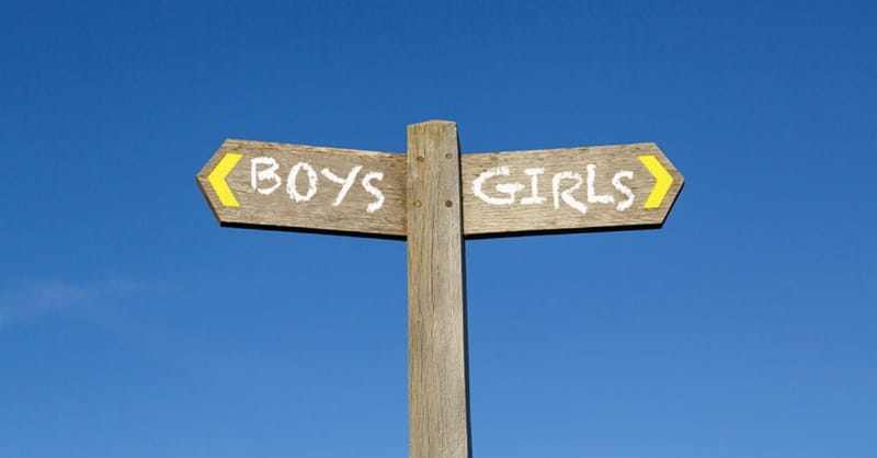 Little Girl 'So Afraid She Could Turn into a Boy' after Kindergarten Teacher Holds Transgender 'Gender Reveal' without Parents' Knowledge
