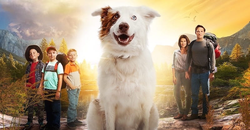 Christian Movie Director: God Can Use Dogs as Guardian Angels
