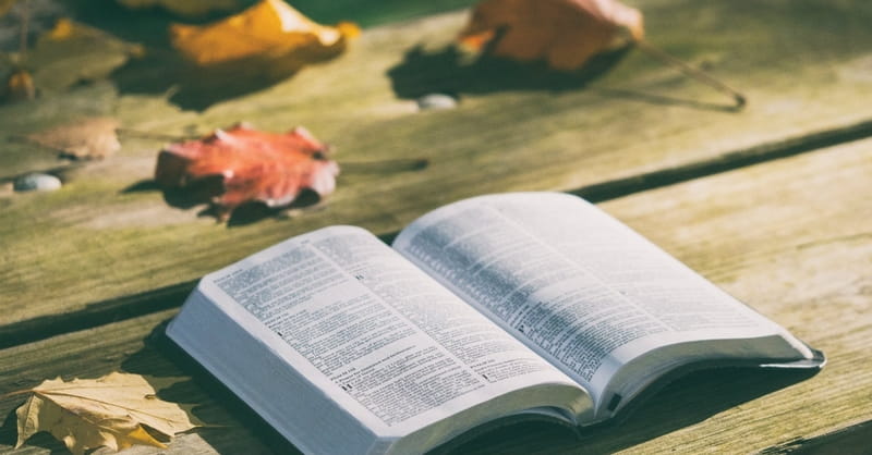 Wycliffe Bible Translators Turns 75