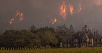 California Fire Survivors Respond Unexpectedly to Loss of Homes
