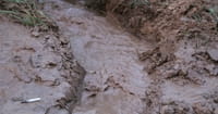 California Mudslides: Where is Your Refuge in Life’s Storms?