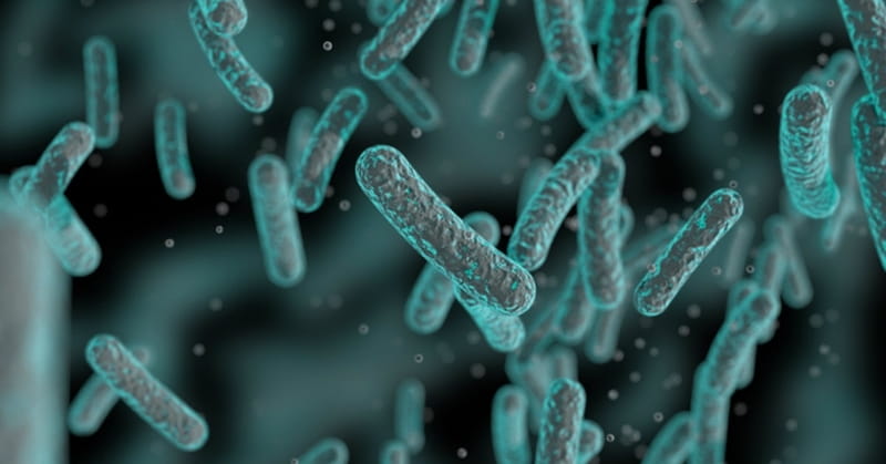 Swimming Bacteria Defy Darwin's Theory
