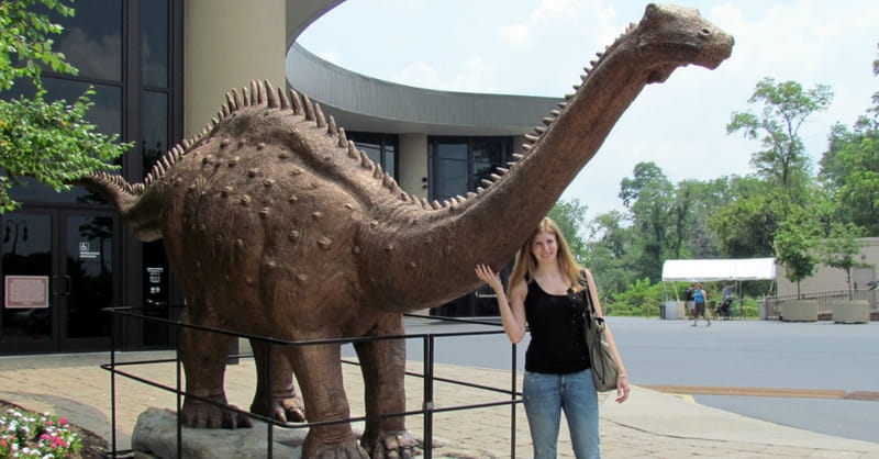1. The Creation Museum