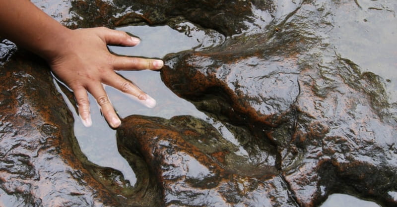 Jesus Rode A Dinosaur: Conference Looks at What Churches Tell Teens about Science