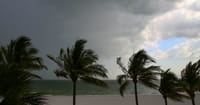 Two Television Journalists Killed as Alberto Makes Landfall