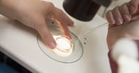 About Those Frozen Embryos; Unintended Consequences and the Limits of Personal Freedom