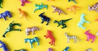 Six-Year-Old Orders Almost $400 Worth of Toys