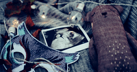 Study Finds Prolife Pregnancy Centers Saved Communities $161 Million Last Year