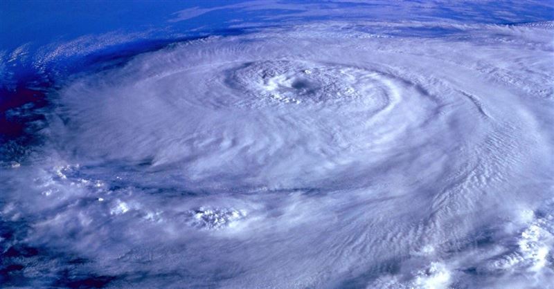 My Response to Hurricane Michael’s Devastation