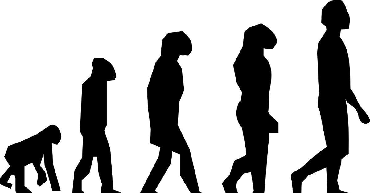 Well-Known Yale Professor Rejects Darwinism, Says Intelligent Design Is a 'Serious' Theory