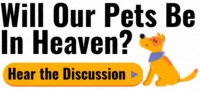 Pets in Heaven