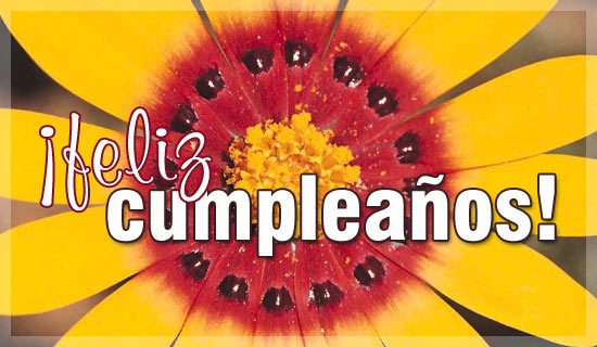 Feliz Cumpleanos