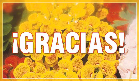 Gracias