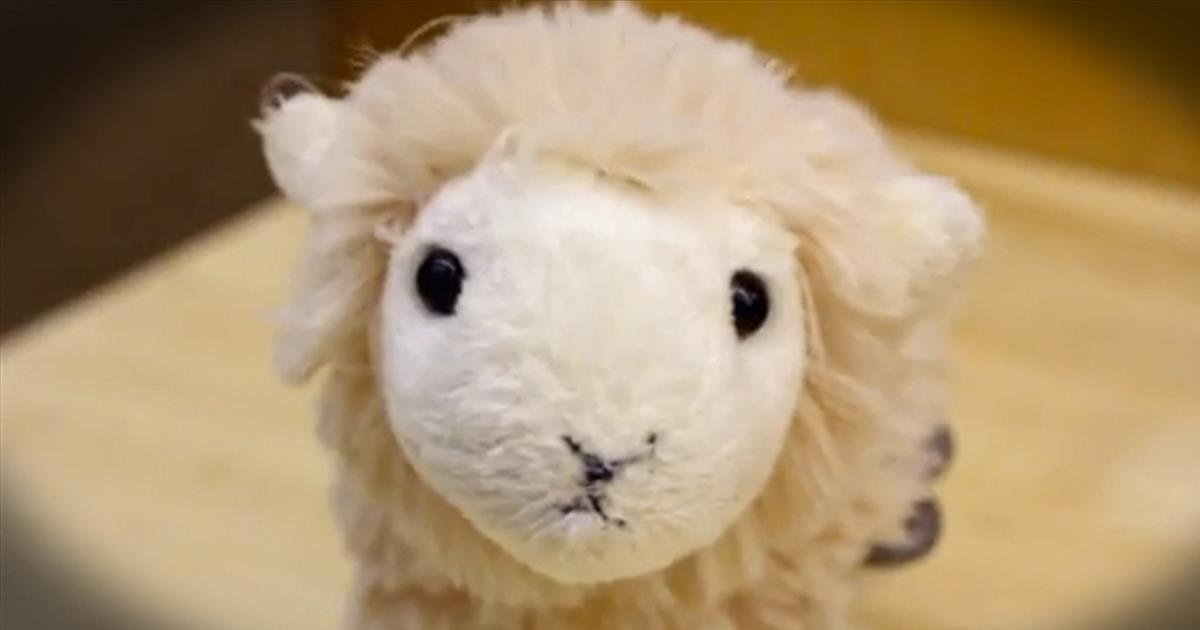 Don't be Embarrassed if this Toy Lamb Makes You Cry I Teared Up, Too! Inspirational Videos