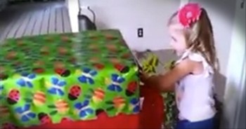 We've heard of Jack-In-The-Box, but never a Dad in the box!  This sweet girl's reaction when she sees that her dad has returned from Afghanistan is so precious.  It's a gift for all of us to share in their joy!