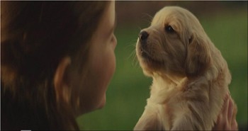 This touching commercial should be watched by anyone who has ever experienced a lasting relationship with a beloved pet. This will move you!
