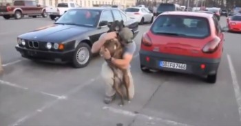 This wonderful compilation of homecomings will melt your heart as our soldiers receive the best welcome home from their four-legged buddies.  This is so sweet!