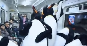 These Subway Passengers Got the Ride of Their Life