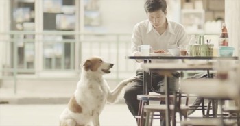 What Does It Really Mean to Give?