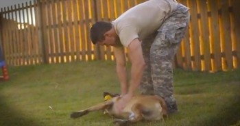 Layka was a U.S. military combat dog who was shot 4 times while serving in Afghanistan. She attacked the shooter, saving her handler and other members of the combat team. What happens next will warm your heart. 