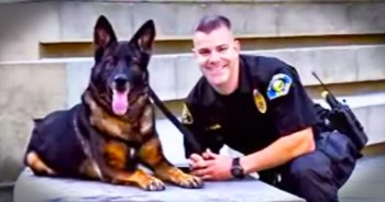 Heroes Come In All Forms – This Reunion Is POWERFUL