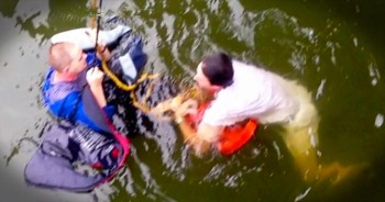 This Miracle Rescue Would’ve NEVER Happened Without This Group Of Selfless Strangers