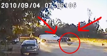 When Trixxie was brutally attacked by a coyote, the family’s other pup, Happy, came barreling to the rescue. This hero got there just in time to save the day!