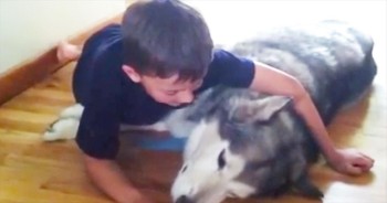 When this dog was ill, his precious owner did the sweetest thing. Now this is just what the doctor ordered!