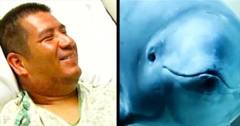 Joey Trevino was lost at sea for over 30 hours with just a life jacket to keep him afloat. He was thinking of giving up hope, when along came a sign from God, in the form of a porpoise. 