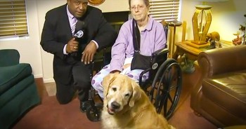 Judy Muhe was left helpless after falling in her kitchen and suffering a bruised head and shattered shoulder. Thankfully, Judy had 2 angels by her side in the form of her pet Golden Retrievers. Don’t miss this heartwarming story of God’s amazing creatures!