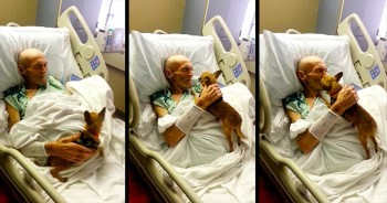 This Elderly Man Had 1 Last Wish. And The Sweet Reunion Left The Entire Room In TEARS!