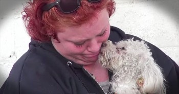 Sweet Layla was living on the streets, until these kind strangers came to the rescue. And when Layla decides to give them a special thank you, my heart grew 3 sizes! AWW!