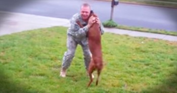 This precious reunion between soldier and his dog just melted my whole heart. Aren’t God’s creatures amazing!