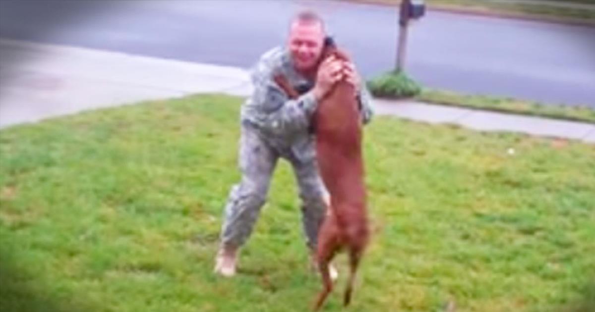 Soldier Returns From Deployment And Has Emotional Reunion With Dog