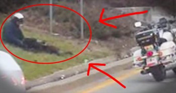 When these 2 dogs strayed from their home, they quickly became frightened and lost. Thankfully, a kind police officer spotted them and stayed by their side until a local shelter arrived. My faith in humanity is definitely restored.