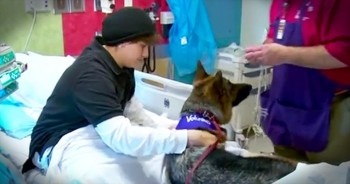 16-year-old Anthony Lyons has acute lymphoblastic leukemia and is currently in the hospital for treatment. Anthony also has a huge heart for dogs, so his family decided to turn to social media to brighten give Anthony some much-needed cheer. The world responded in the most EPIC way and it’s melting hearts everywhere. 