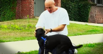 These inmates are learning life lessons from these furry friends and it’s a story you won’t soon forget. This heartwarming story will show you the true power of friendship that can transcend species. Aren’t all of God’s creatures amazing?