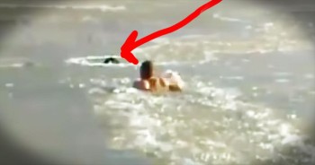 When this dog fell into a frozen lake, this dog's 'dad' did something amazing. Watching him break through the ice with his bare-hands to save his dog is frightening and beautiful. All I can say is WOW...and I'm so glad they are both okay.