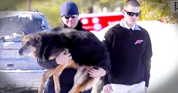 Police officers from all over Southern Maine gathered to say goodbye to a faithful friend. Sultan, a retired K-9, spent 9 years with the Yarmouth Police Department. But at 13-years-old, Sultan’s health is failing and it’s time to say one last thank you and an emotional goodbye.