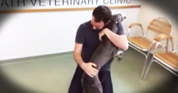 Jasper was heartbreakingly stolen from his loving dad. After being gone for months, someone saw Jasper and took him to a local clinic where they found his dad. This is their reunion. Get ready for the waterworks!