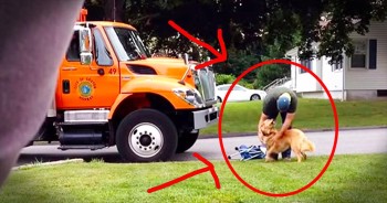 Everyday, this garbage man takes time out of his day to greet his furry friend, Shelby. Watching their precious friendship is enough to melt any heart. It soothes my soul to know that kind people like this still exist.