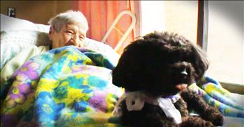Abandoned Dog Is Doing God's Work In This Nursing Home