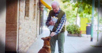 This pup would not leave his human's side, they did everything together! Until his human had to be rushed to the ER and this pup wasn't allowed inside. Sadly the man passed but his pup just waited and waited. Until one very special woman came out of the hospital. And when you see what this pup does you'll be reaching for the tissues. This ad had me in tears, how beautiful is this?