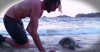 This little turtle was in a dangerous situation until these quick-thinking men found him. Using his CPR skills, one man breathed life back into this sea turtle just in then nick of time. WOW!